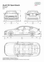 Audi S5 Sportback 2010 года (WW)